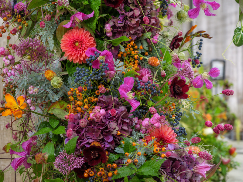 Vibrant red and pink floral display with orchids, anthuriums and firework-like details.